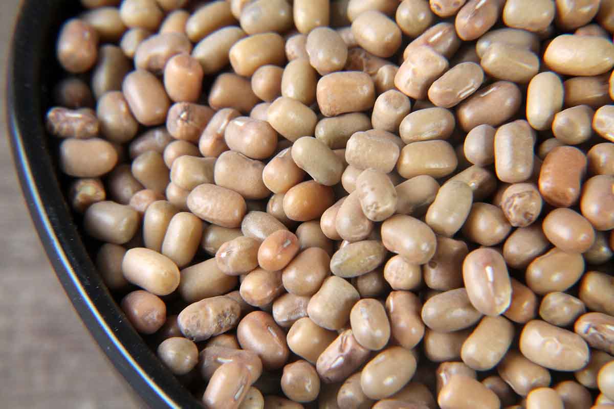 Whole Moth Beans/Matki 500 Gm
