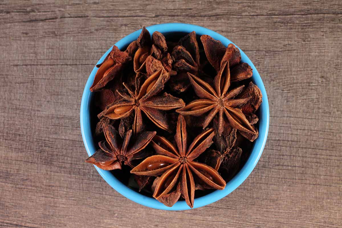 Star Anise/Chakri Phool 20 Gm
