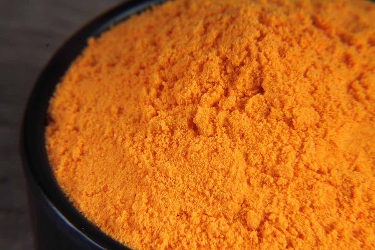 Cheddar Cheese Powder 100 Gm