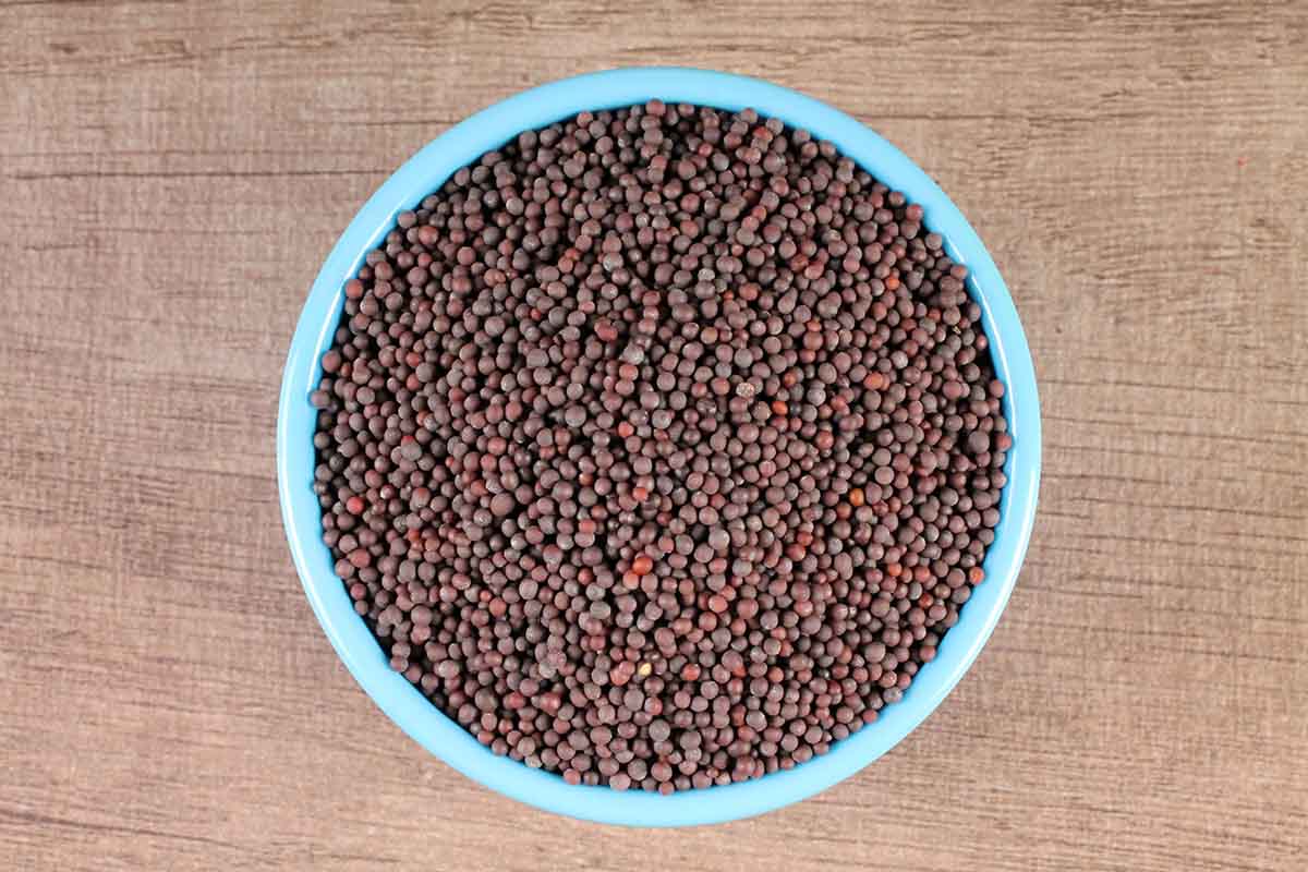 Whole Mustard Seeds/Rai/Sarson 100 Gm