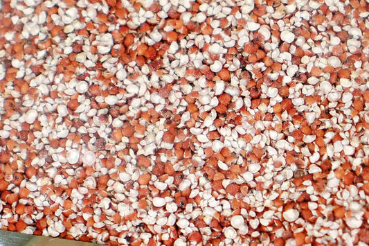 Nachani Unpolished Millet Dalia 250 Gm
