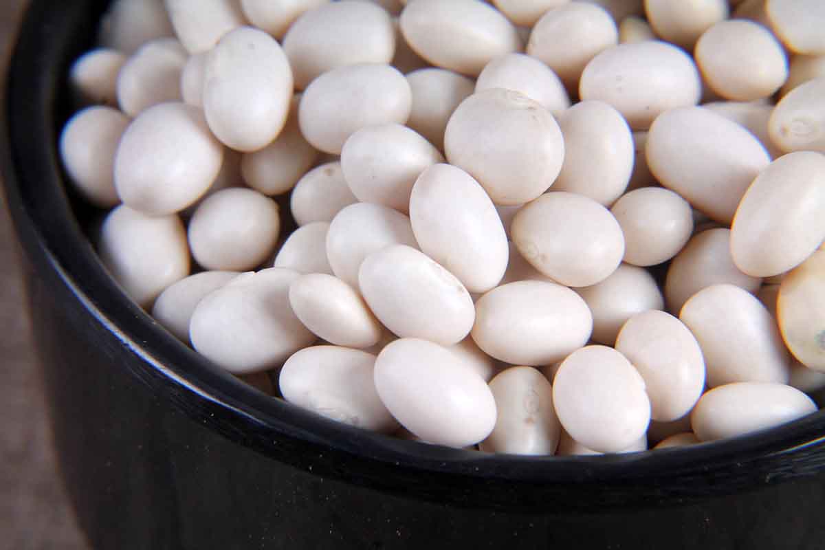 WHITE BEANS/PUNA VAAL 250 GM