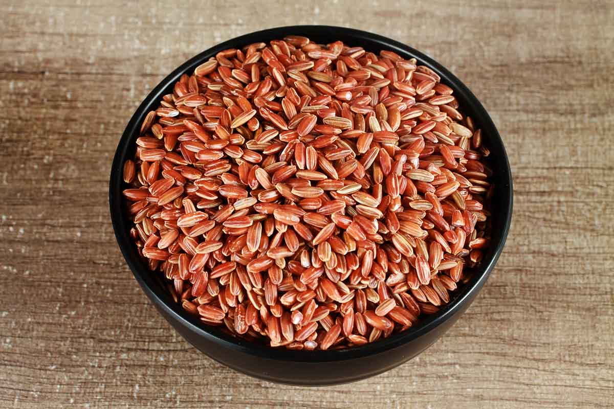 RED RICE 500