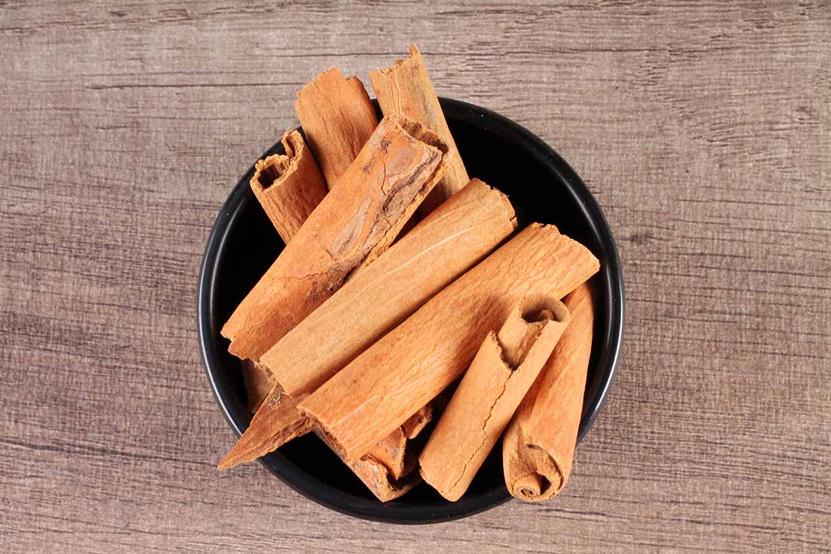 WHOLE CINNAMON/DALCHINI 20 GM