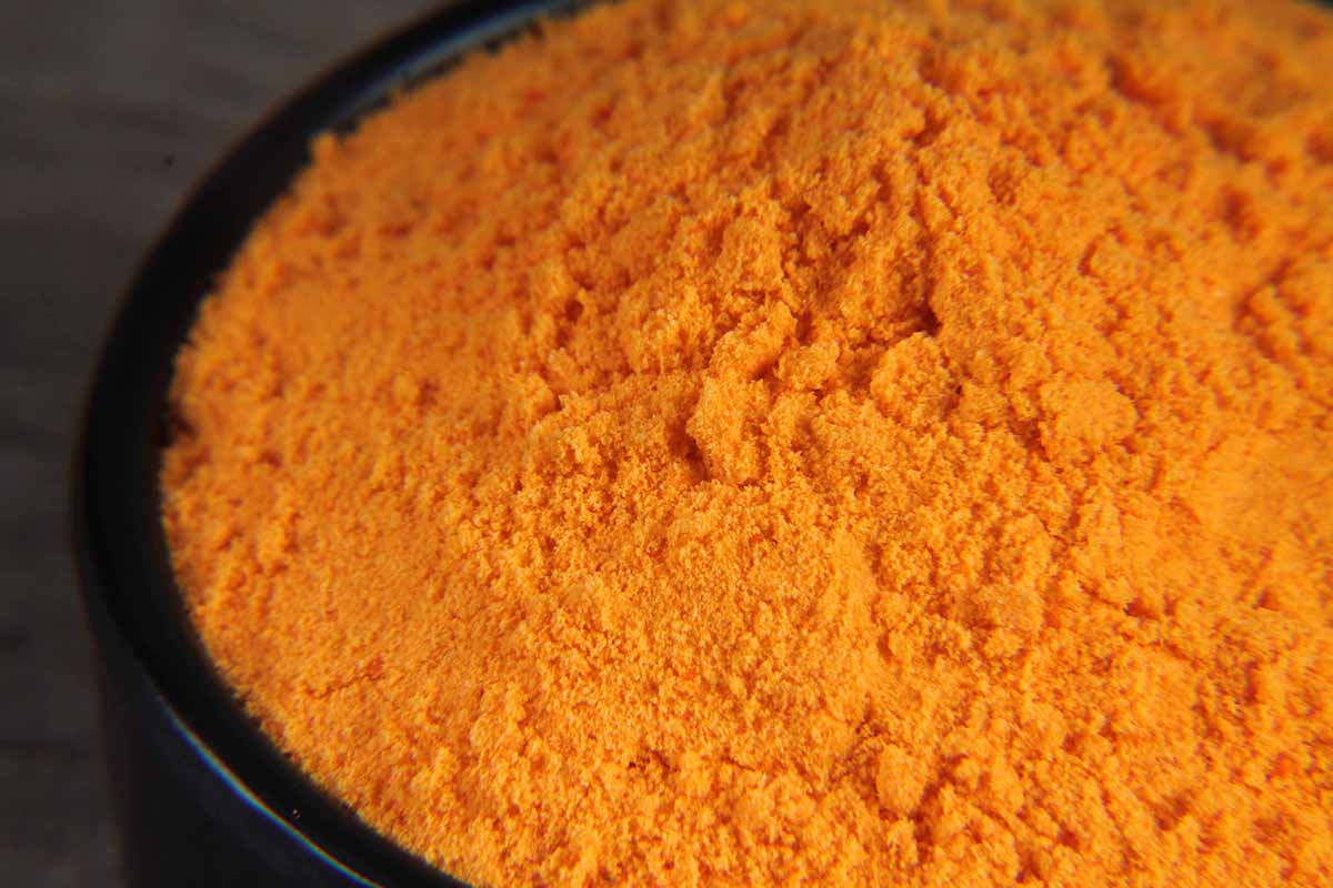 CHEDDAR CHEESE POWDER 100 GM