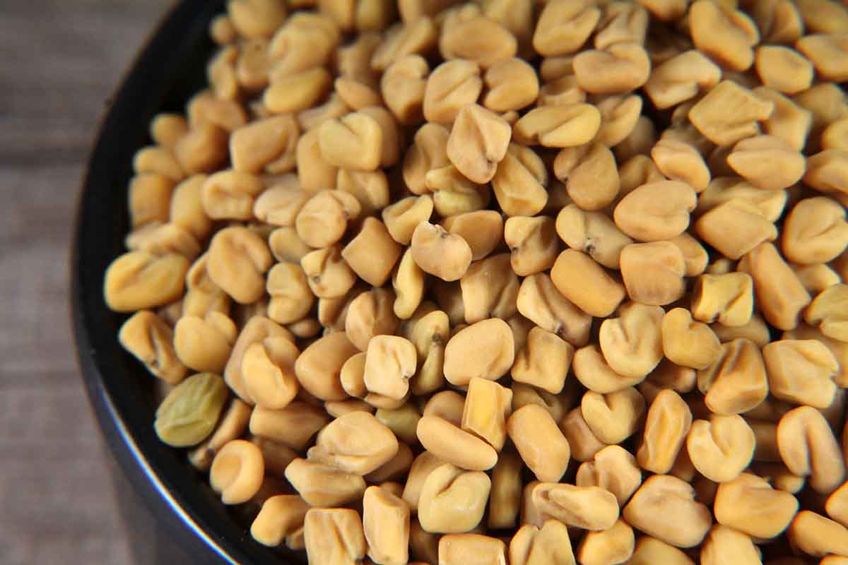 FENUGREEK SEEDS/METHI DANA 100 GM