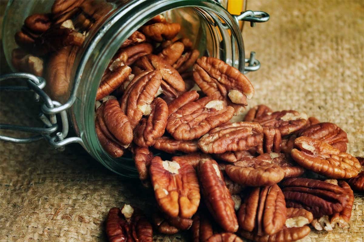 Pecans Nuts 